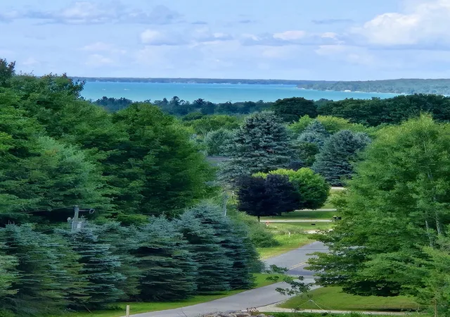 48th image of 10746 Deal Rd, Williamsburg, MI 49690 | MLS# 78080072408