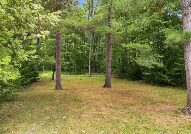 87th image of 9545 E School Section Lake Dr, Mecosta, MI 49332 | MLS# 72026043038