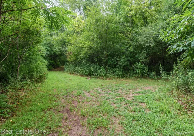 Photo 3 of Land for sale at 42575 Judd Rd, Belleville, MI 48111 | MLS# 20261065224 | Listing updated on 2026-09-06
