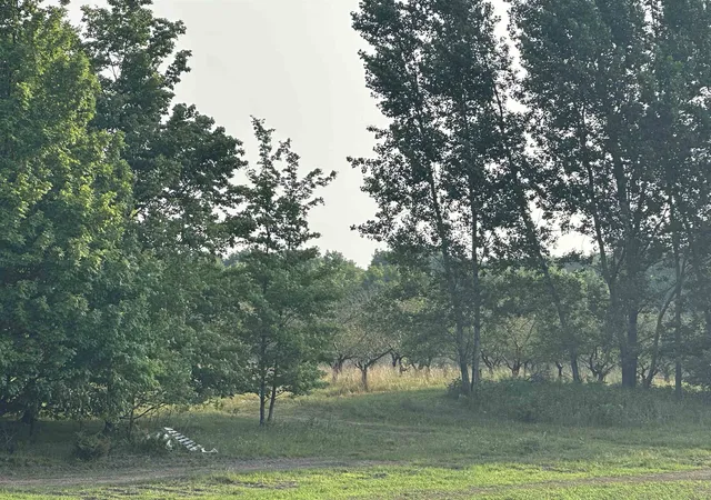 Photo 4 of Land for sale at Parcel 11 Karnes Rd, Empire Township Leelanau, MI 49636 | MLS# 78080072443 | Listing updated on 2026-09-14