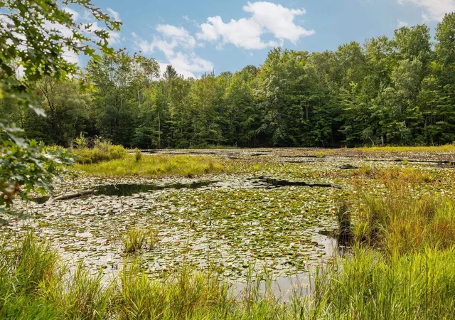 5th image of 00 Us-31, Boardman Township Kalkaska, MI 49633 | MLS# 78080072447