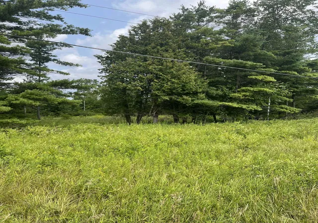 5th image of 00 M 55, Tawas City, MI 48763 | MLS# 77080072448