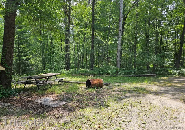 19th image of 1495 River Valley Dr, Mills Township Ogemaw, MI 48756 | MLS# 20261065436