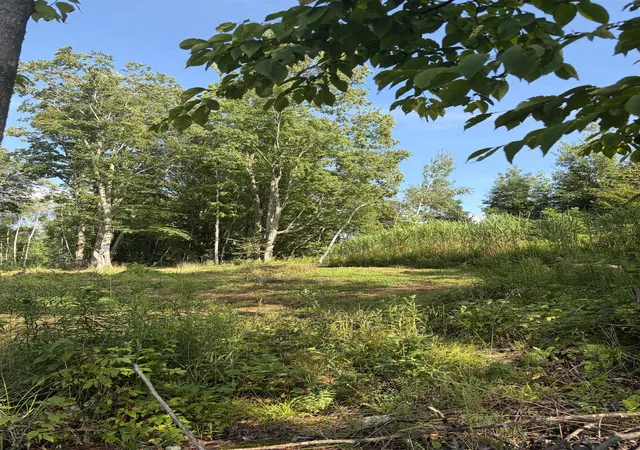 4th image of V/Land Se M-115, Marion Township Osceola, MI 49665 | MLS# 78080072461