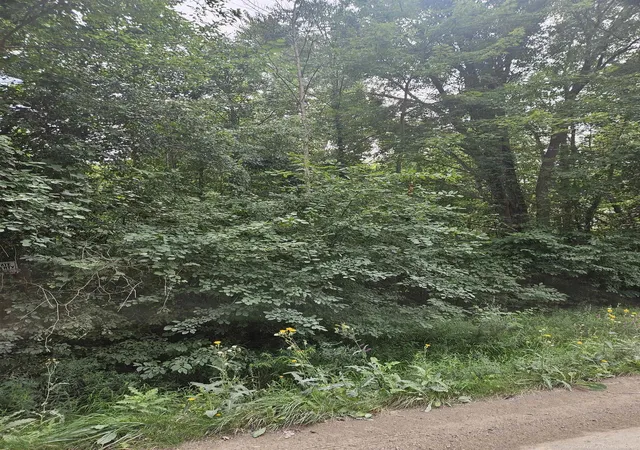 Photo 3 of Land for sale at 14080 31 Mile Rd, Washington, MI 48095 | MLS# 58050218907 | Listing updated on 2026-08-21