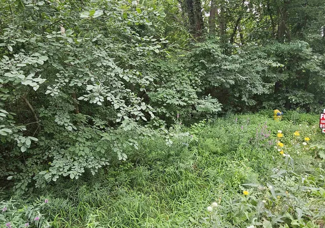 Photo 4 of Land for sale at 14080 31 Mile Rd, Washington, MI 48095 | MLS# 58050218907 | Listing updated on 2026-08-21