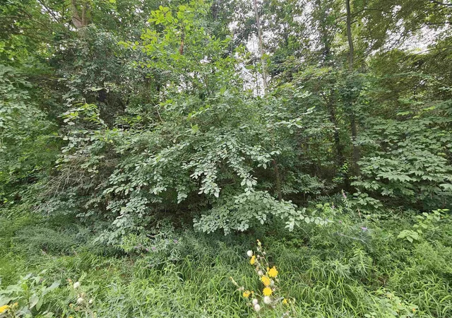 Photo 5 of Land for sale at 14080 31 Mile Rd, Washington, MI 48095 | MLS# 58050218907 | Listing updated on 2026-08-21