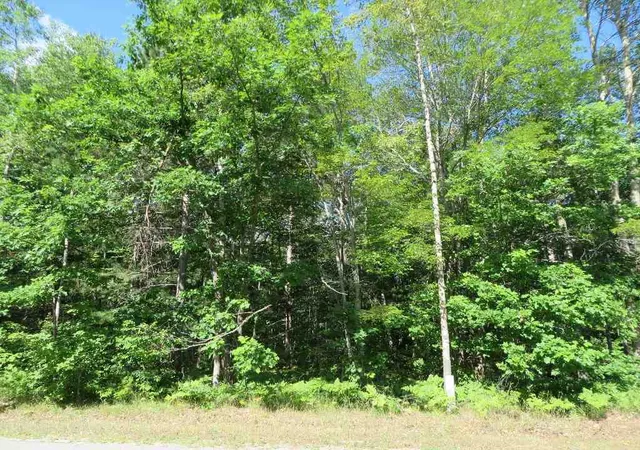 2nd image of 2089 E Log Lake Rd, Kalkaska, MI 49646 | MLS# 78080072483