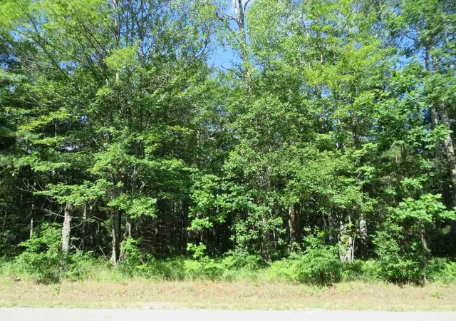 2nd image of 2043 E Log Lake Rd, Kalkaska, MI 49646 | MLS# 78080072481