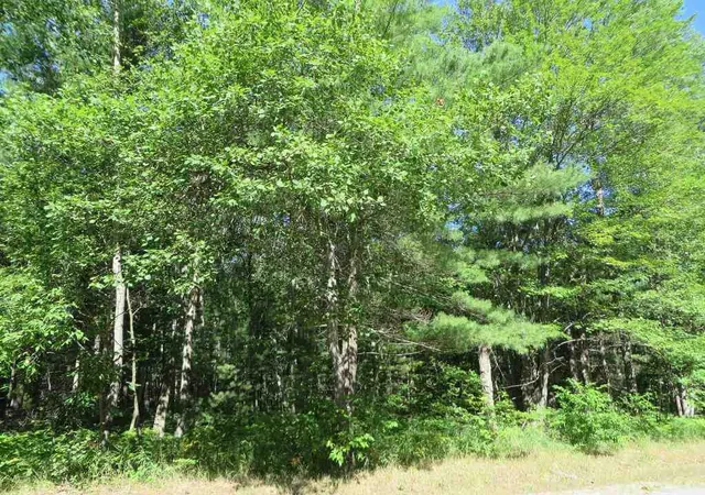 3rd image of 2043 E Log Lake Rd, Kalkaska, MI 49646 | MLS# 78080072481
