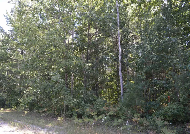 2nd image of 2060 Driftwood Ln, Kalkaska, MI 49646 | MLS# 78080072477
