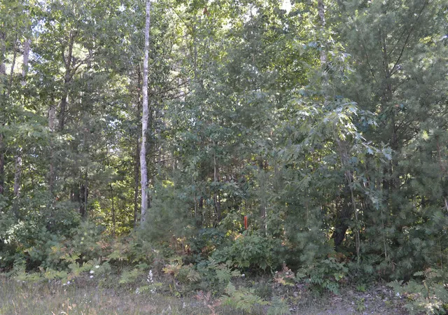 2nd image of 2040 Driftwood Ln, Kalkaska, MI 49646 | MLS# 78080072478