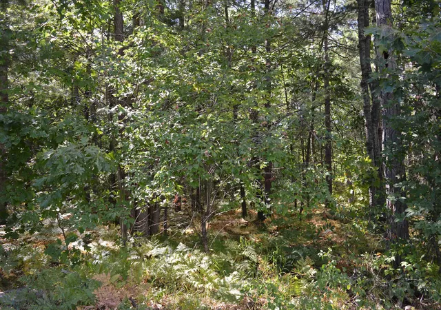 5th image of 2040 Driftwood Ln, Kalkaska, MI 49646 | MLS# 78080072478