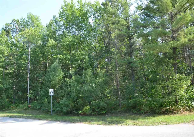 2nd image of Off W Log Lake Rd, Kalkaska, MI 49646 | MLS# 78080072487