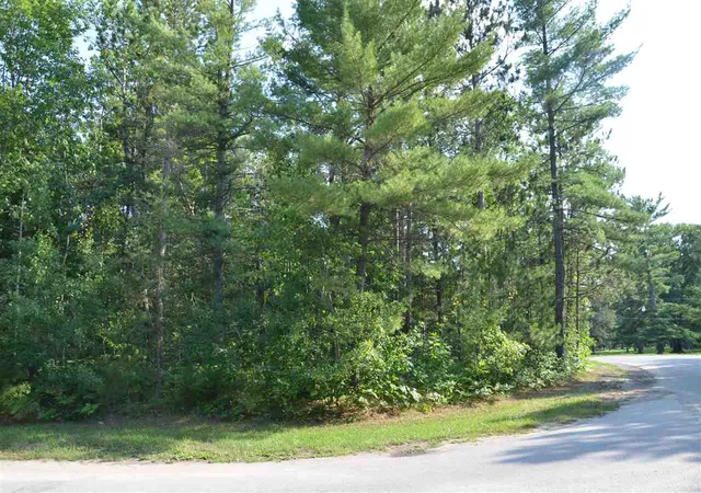 4th image of Off W Log Lake Rd, Kalkaska, MI 49646 | MLS# 78080072487
