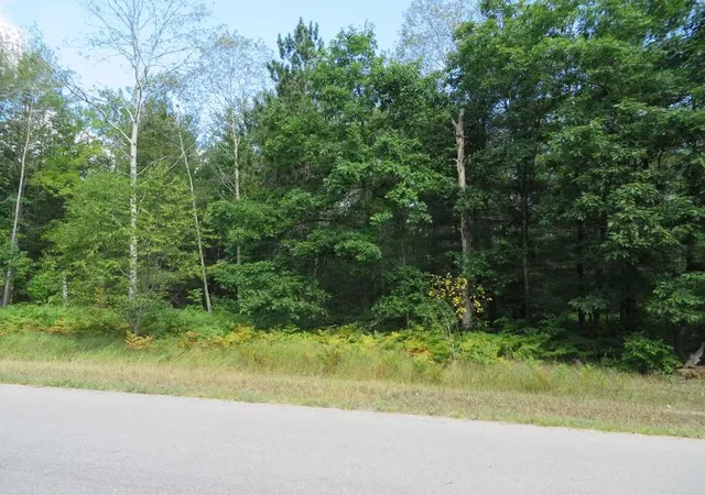 3rd image of 2205 Ne Driftwood, Kalkaska Township Kalkaska, MI 49646 | MLS# 78080072488