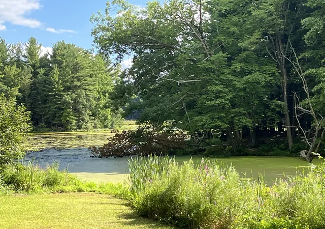 2nd image of 11011 Podunk Ave Ne, Greenville, MI 48838 | MLS# 65026043413