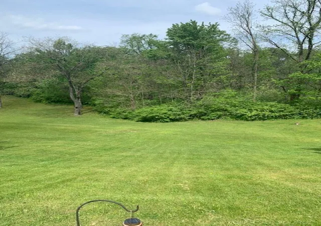 Photo 3 of Land for sale at 4740 Pinckney Rd, Howell, MI 48843 | MLS# 58050218945 | Listing updated on 2026-08-18