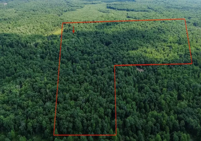 1st image of 00 Center Fireline Trail Trail, Grim Township Gladwin, MI 48612 | MLS# 5050218951