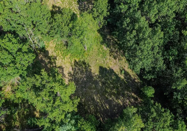 25th image of 00 Center Fireline Trail Trail, Grim Township Gladwin, MI 48612 | MLS# 5050218951