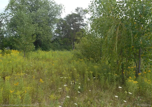 Photo 4 of Land for sale at 2448 Clayward Dr, Burton, MI 48509 | MLS# 20261065893 | Listing updated on 2026-08-19