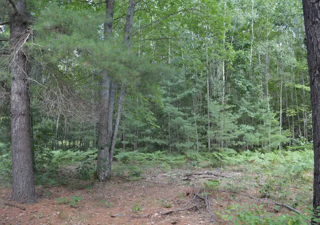 1st image of 8430 Ne Grass Lake Rd, Excelsior Township Kalkaska, MI 49646 | MLS# 78080072502