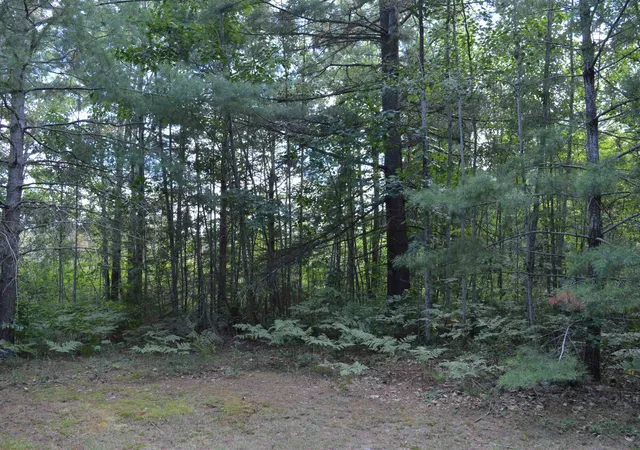2nd image of 8430 Ne Grass Lake Rd, Excelsior Township Kalkaska, MI 49646 | MLS# 78080072502