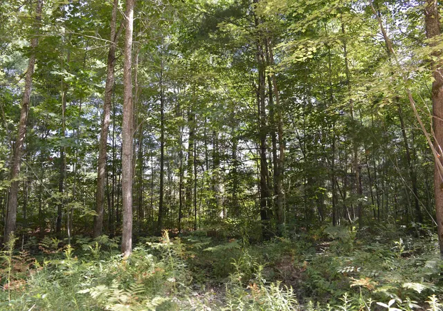 40th image of 8430 Ne Grass Lake Rd, Excelsior Township Kalkaska, MI 49646 | MLS# 78080072502