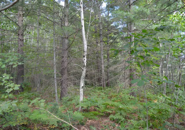 4th image of 8430 Ne Grass Lake Rd, Excelsior Township Kalkaska, MI 49646 | MLS# 78080072502