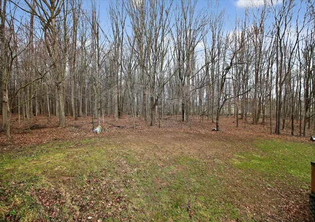 43rd image of 5383 N Rich Rd, Alma, MI 48801 | MLS# 79080072497