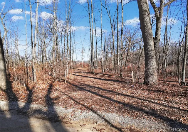 Photo 1 of Land for sale at 11770 Shaffer Rd, Davisburg, MI 48350 | MLS# 20261065998 | Listing updated on 2026-08-19
