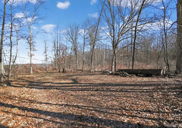 Photo 3 of Land for sale at 11770 Shaffer Rd, Davisburg, MI 48350 | MLS# 20261065998 | Listing updated on 2026-08-19