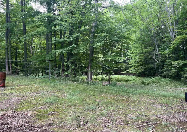 19th image of 380 Thomas Road Sw, South Boardman, MI 49680 | MLS# 79080072515