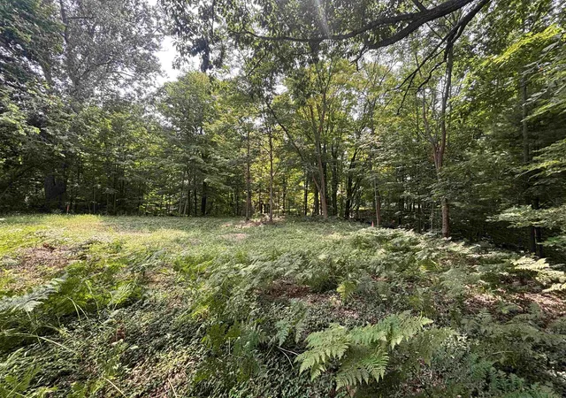 18th image of 0 Franklin St, Alden, MI 49612 | MLS# 78080072522
