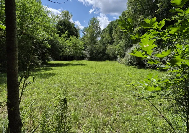 3rd image of 4107 E White River Dr, Hesperia, MI 49421 | MLS# 72026043677