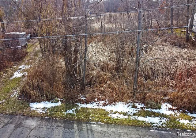 Photo 5 of Land for sale at 0 Annapolis, Commerce Township, MI 48382 | MLS# 20261066323 | Listing updated on 2026-08-19