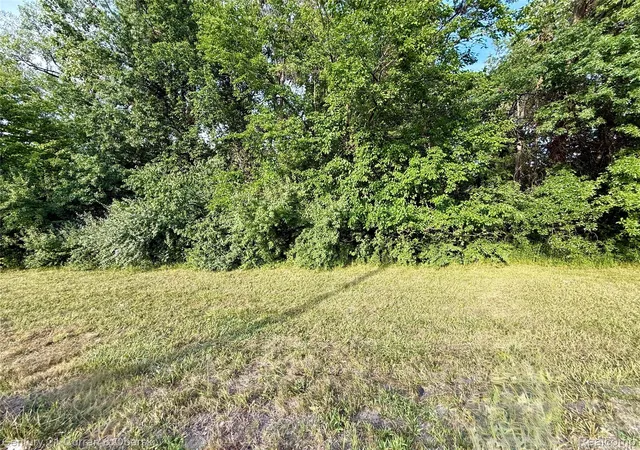 Photo 1 of Land for sale at 01 Wayne Rd, Romulus, MI 48174 | MLS# 20261066374 | Listing updated on 2026-08-19