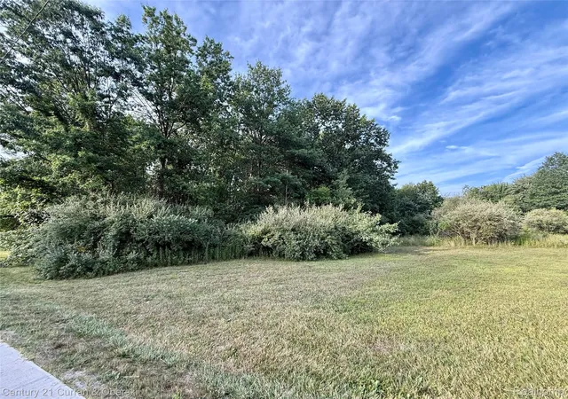 Photo 2 of Land for sale at 01 Wayne Rd, Romulus, MI 48174 | MLS# 20261066374 | Listing updated on 2026-08-19