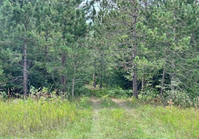 1st image of 7658 Cedar River Rd, Mancelona, MI 49659 | MLS# 78080072556