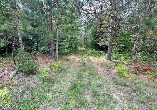 4th image of 7658 Cedar River Rd, Mancelona, MI 49659 | MLS# 78080072556