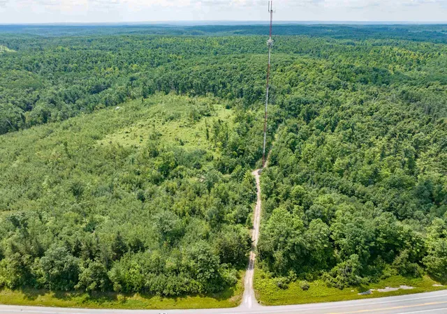 Photo 4 of Land for sale at V/l M65 & M72, Curran, MI 48728 | MLS# 77080072563 | Listing updated on 2026-08-23
