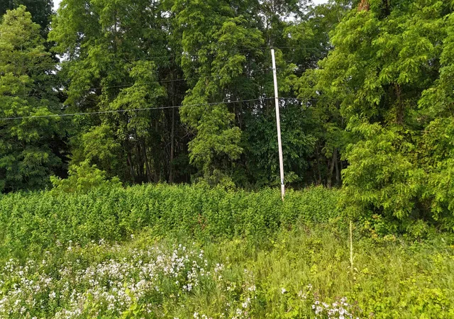 3rd image of 7801 S West Bay Shore Dr, Northport, MI 49670 | MLS# 78080072568
