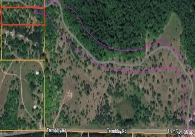 2nd image of V/l Tremblay Rd, Custer Township Antrim, MI 49659 | MLS# 20261066518