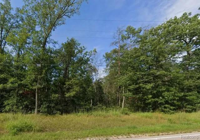 3rd image of V/l 32nd St, Baldwin, MI 49304 | MLS# 20261066523