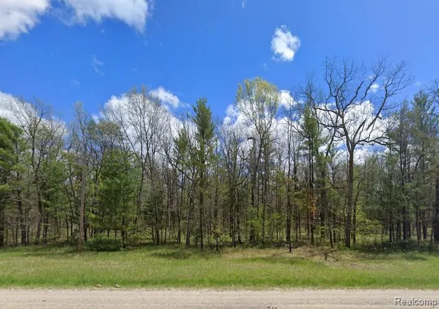 2nd image of V/l Parcel A Hwy 10 Nw, Webber Township Lake, MI 49304 | MLS# 20261066532