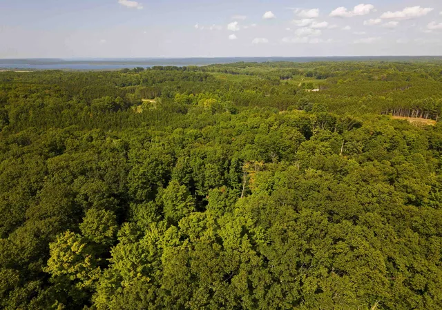 3rd image of 3037 Dockery Road, Nw, Williamsburg, MI 49690 | MLS# 78080072582