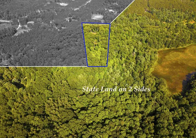 5th image of 3037 Dockery Road, Nw, Williamsburg, MI 49690 | MLS# 78080072582