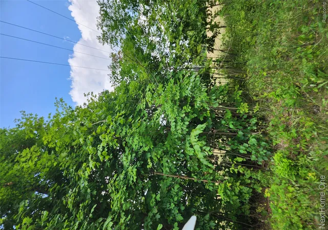 Photo 2 of Land for sale at 00 Musson Rd, Oceola Township Livingston, MI 48855 | MLS# 20261066605 | Listing updated on 2026-08-23