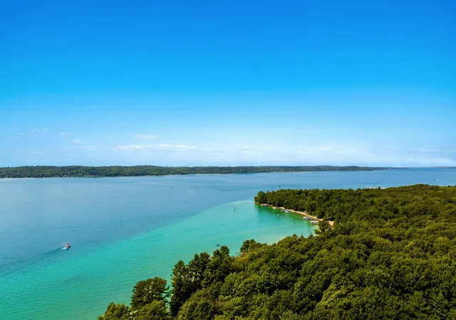 3rd image of 7356 Se Torch Lake Dr, Alden, MI 49612 | MLS# 78080072594