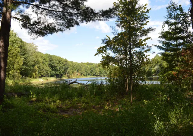 Photo 3 of Single family home for sale at 3035 NE Lincoln Dr, Kalkaska Township Kalkaska, MI 49646 | MLS# 78080072609 | Listing updated on 2026-08-28